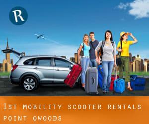 1st Mobility Scooter Rentals (Point O'Woods)