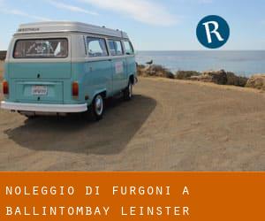Noleggio di Furgoni a Ballintombay (Leinster)