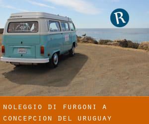 Noleggio di Furgoni a Concepción del Uruguay