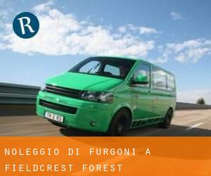 Noleggio di Furgoni a Fieldcrest Forest