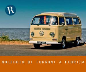 Noleggio di Furgoni a Florida Noleggio di Furgoni a Florida