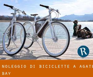 Noleggio di Biciclette a Agate Bay