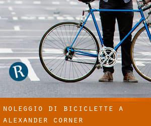 Noleggio di Biciclette a Alexander Corner