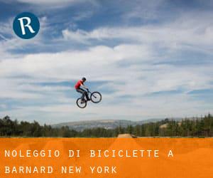 Noleggio di Biciclette a Barnard (New York)