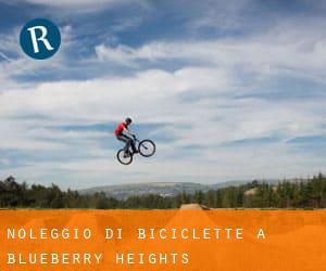 Noleggio di Biciclette a Blueberry Heights