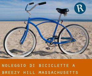 Noleggio di Biciclette a Breezy Hill (Massachusetts)