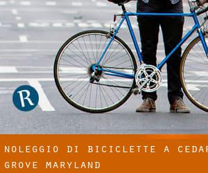 Noleggio di Biciclette a Cedar Grove (Maryland)