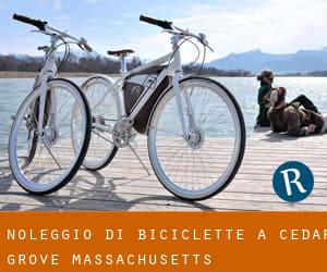Noleggio di Biciclette a Cedar Grove (Massachusetts)