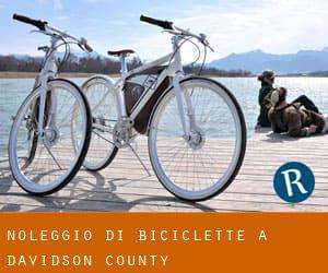 Noleggio di Biciclette a Davidson County Noleggio di Biciclette a Davidson County