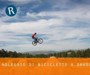 Noleggio di Biciclette a Druso
