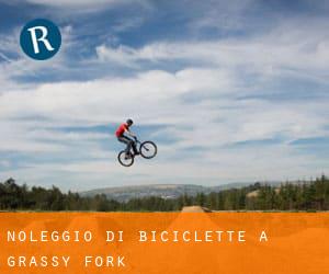 Noleggio di Biciclette a Grassy Fork
