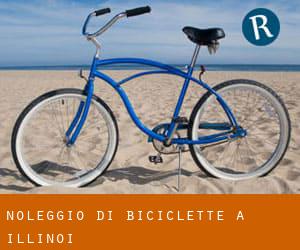 Noleggio di Biciclette a Illinoi