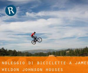 Noleggio di Biciclette a James Weldon Johnson Houses