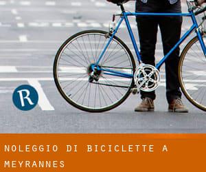 Noleggio di Biciclette a Meyrannes
