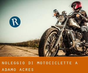 Noleggio di Motociclette a Adamo Acres