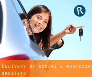 Delivery di Acciai e Montecchi (Grosseto)